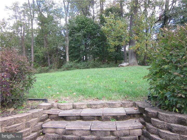 344 New Darlington Road Media, PA 19063 - Photo 20 of 25 Side Yard