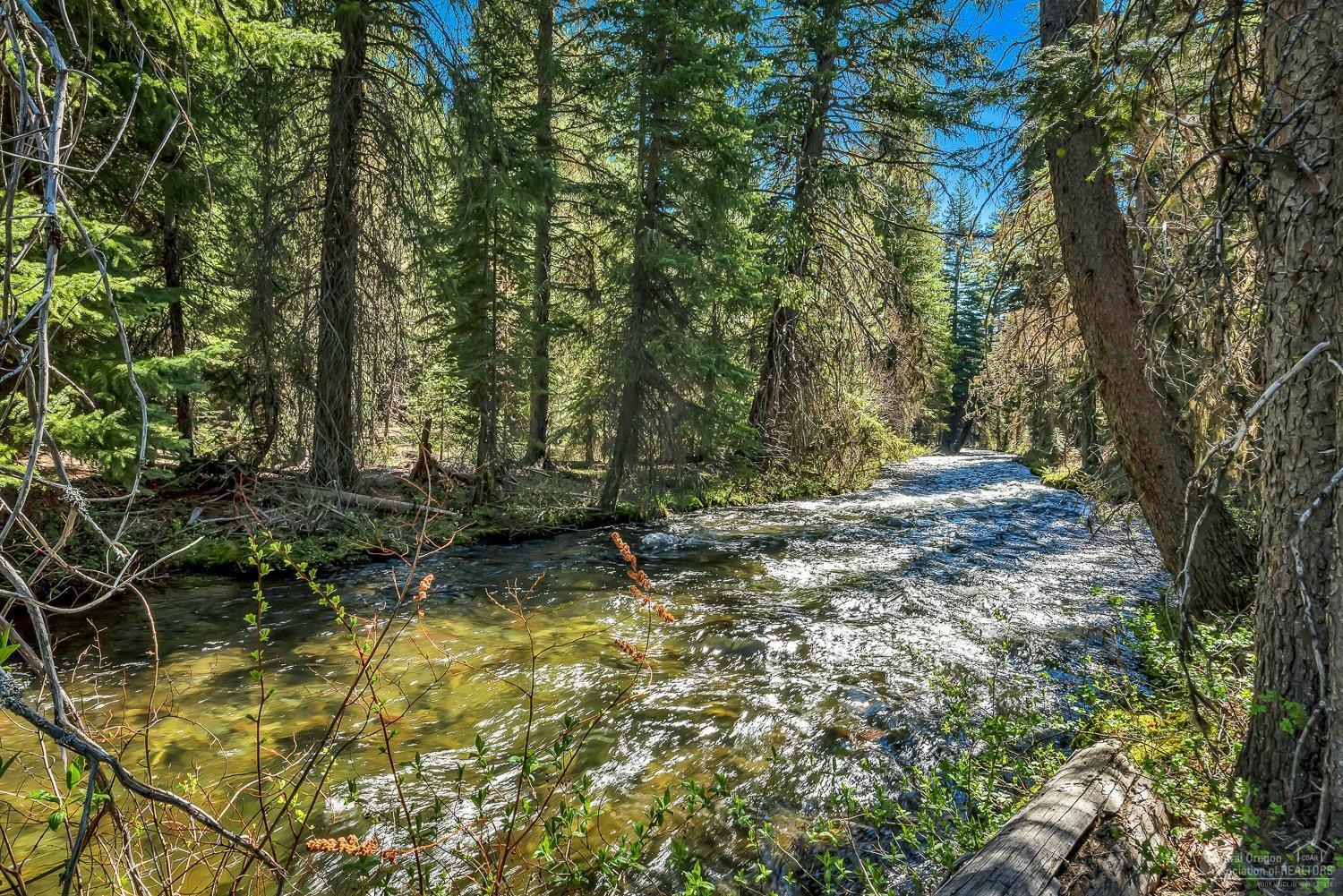 16661 Skyliners Road Bend, OR 97703 - Photo 21 of 24 Additional Photo