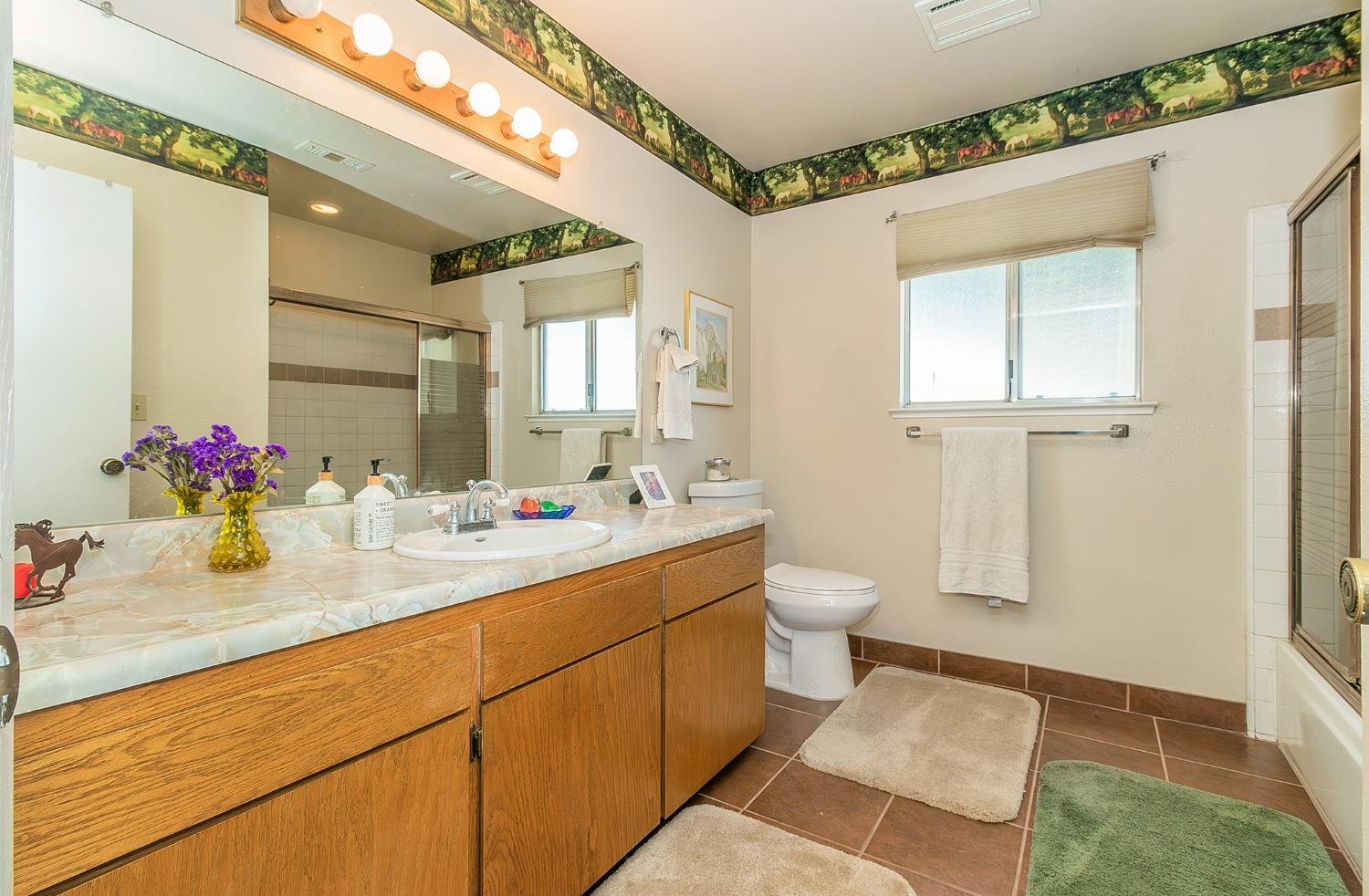 13016 Violet Lane Clovis, CA 93619 - Photo 22 of 41 a bathroom with a sink and a mirror