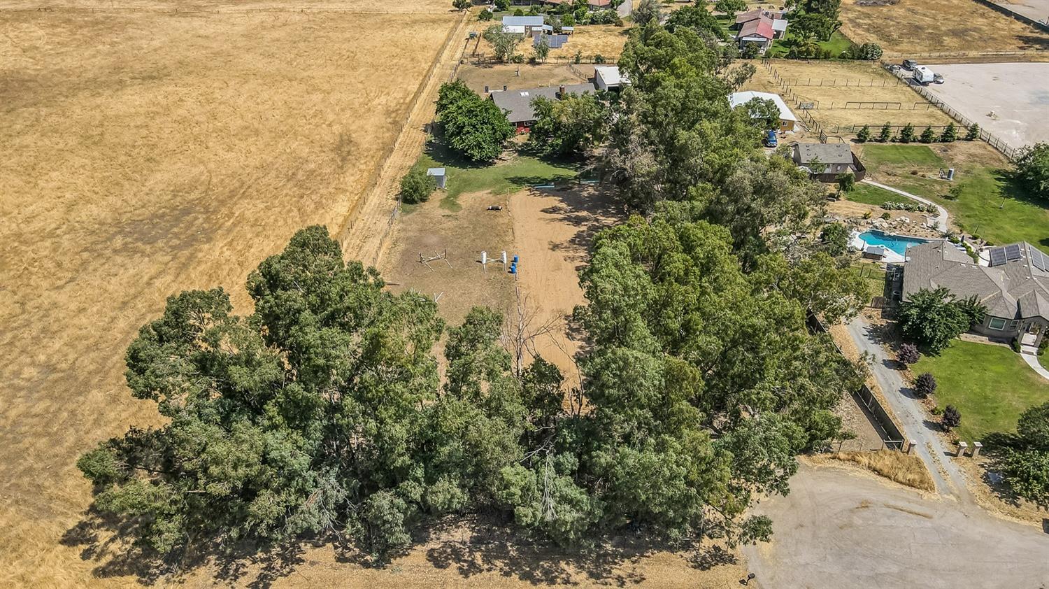 13016 Violet Lane Clovis, CA 93619 - Photo 33 of 41 a view of a yard with plants