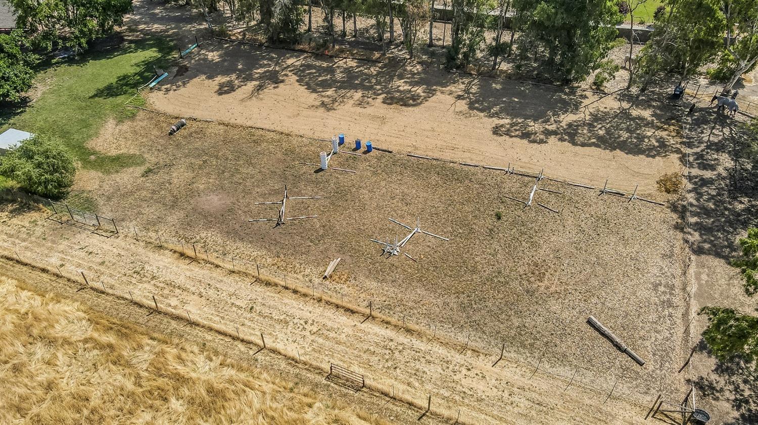 13016 Violet Lane Clovis, CA 93619 - Photo 35 of 41 a view of a yard with a tree