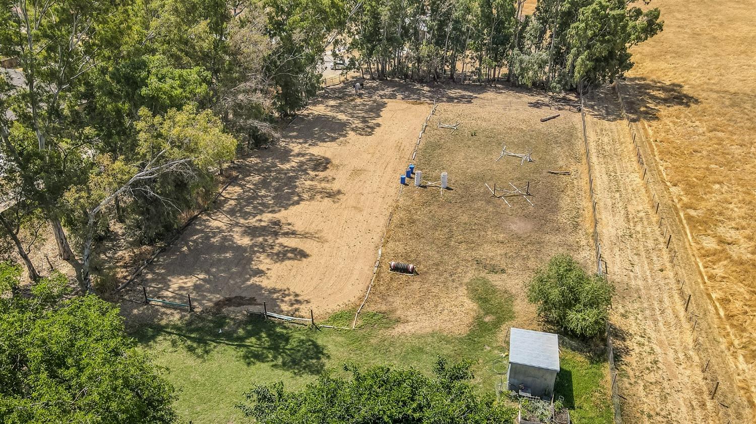 13016 Violet Lane Clovis, CA 93619 - Photo 36 of 41 a view of a yard with trees