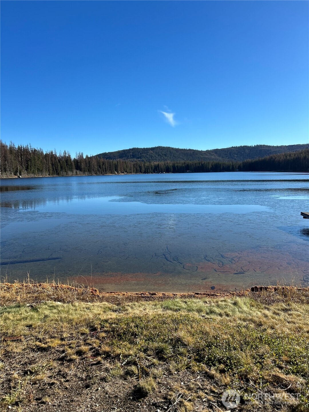 5 Moore Drive Riverside, WA 98849 - Photo 10 of 33