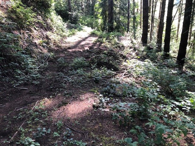 View Drive, Unit 2301 Florence, OR 97439 - Photo 1 of 20 Gallery Image 1