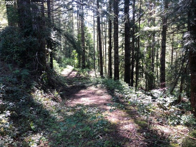 View Drive, Unit 2301 Florence, OR 97439 - Photo 2 of 20 Gallery Image 2