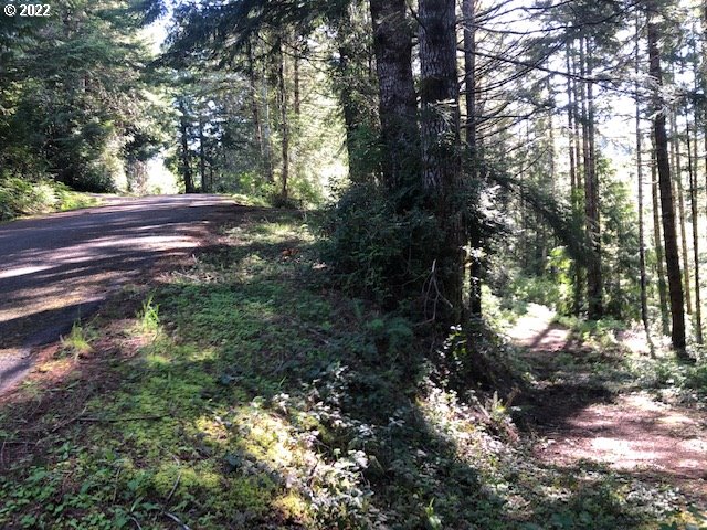 View Drive, Unit 2301 Florence, OR 97439 - Photo 3 of 20 Gallery Image 3