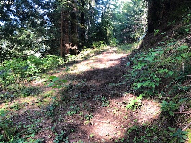 View Drive, Unit 2301 Florence, OR 97439 - Photo 4 of 20 Gallery Image 4