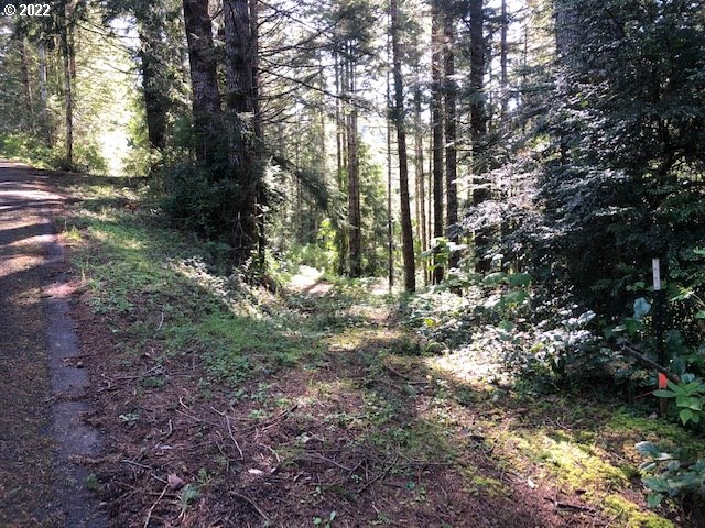 View Drive, Unit 2301 Florence, OR 97439 - Photo 6 of 20 Gallery Image 6