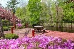 a garden view with a seating space