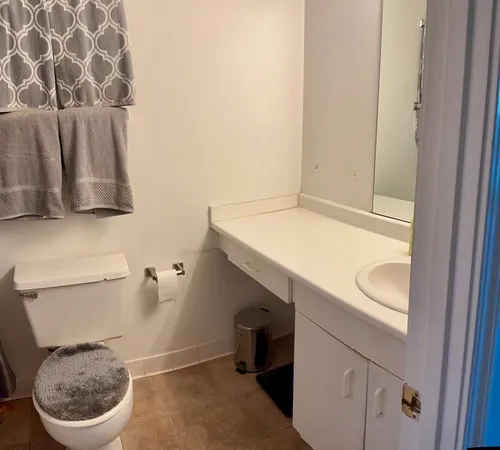 a bathroom with a sink and a toilet