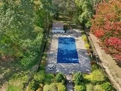 a view of a yard with plants