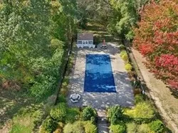 a view of a yard with plants