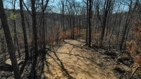 a view of a back yard