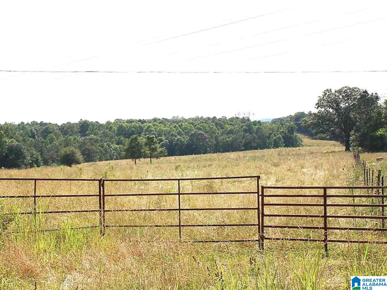 919 Gip Yates Road Blountsville, AL 35031 - Photo 3 of 49
