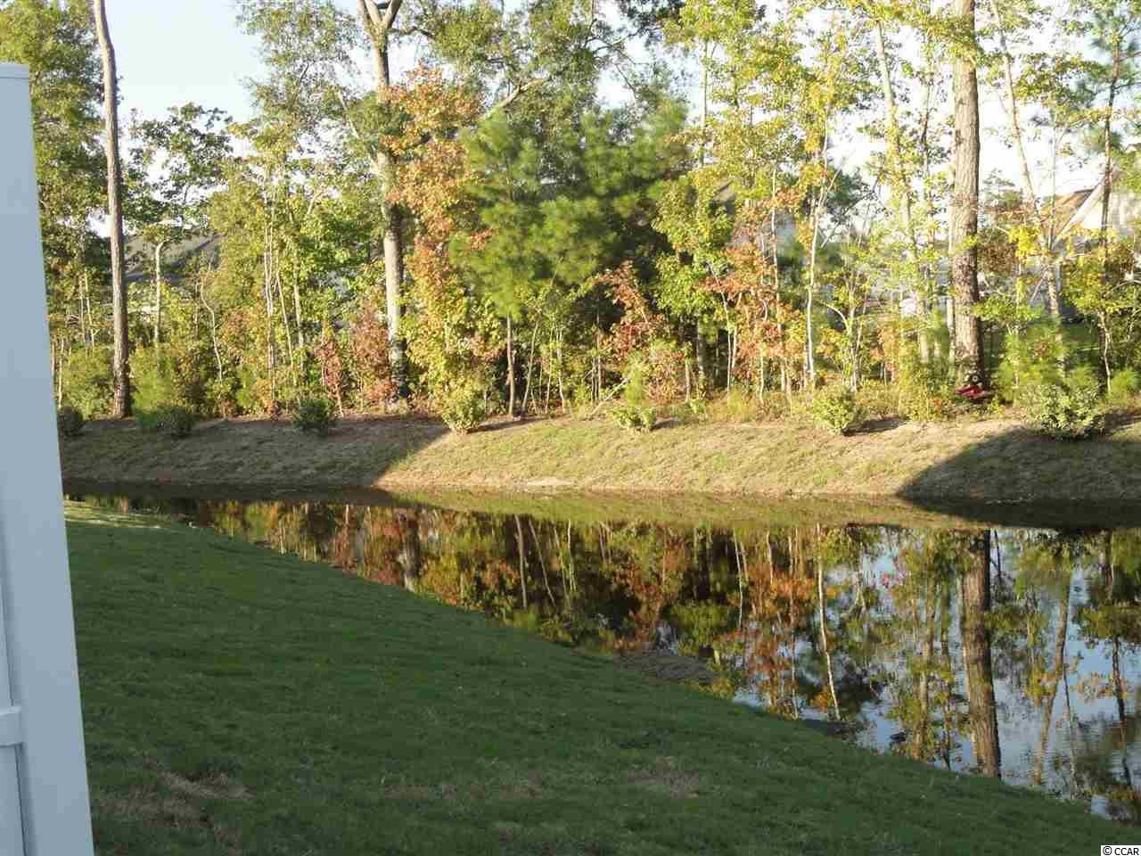 1553 Palmina Loop, Unit C Murrells Inlet, SC 29576 - Photo 31 of 39