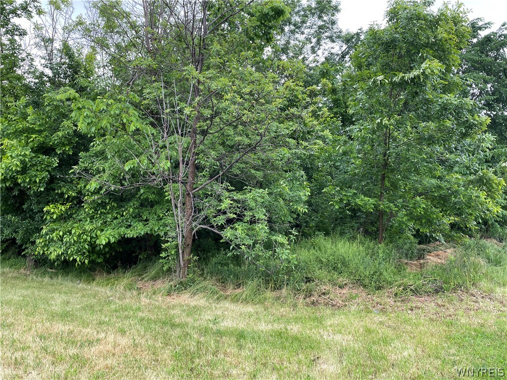1811 North Forest Road Amherst, NY 14221 - Photo 1 of 1