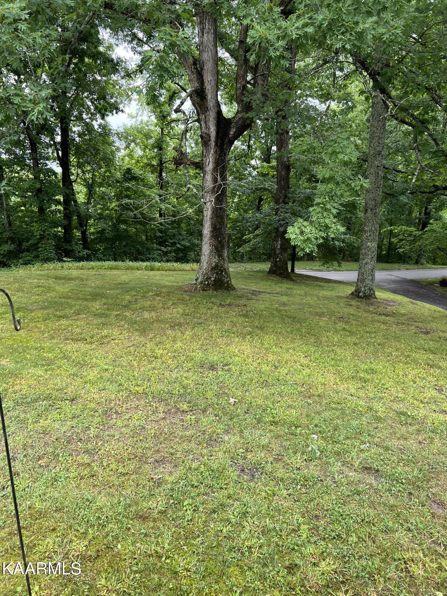 561 Grape Rough Road Oneida, TN 37841 - Photo 8 of 33 C5350056-4916-418F-9CC2-7068A157CC21