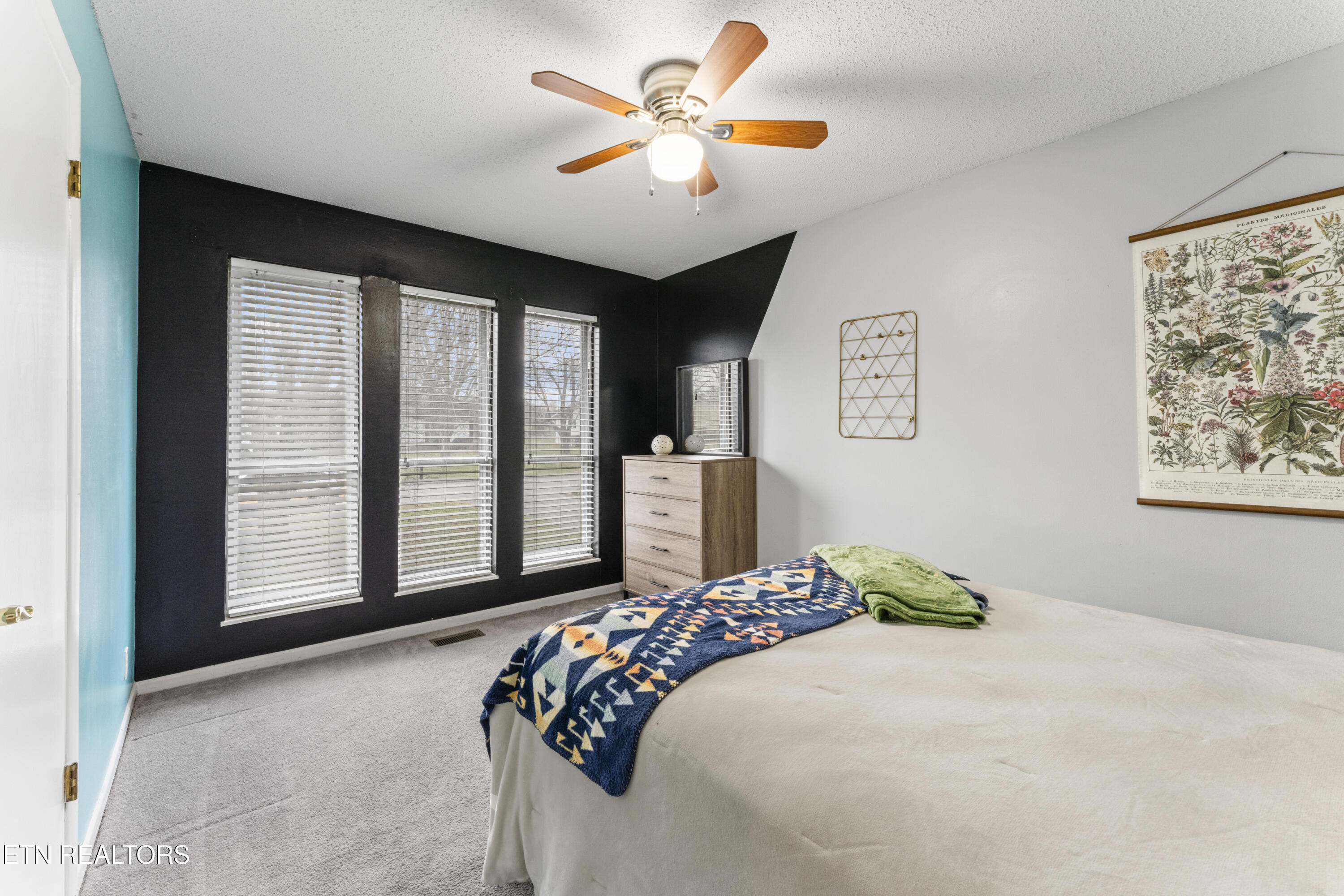 812 Crest Forest Road Knoxville, TN 37923 - Photo 40 of 45 photos_high_resolution_DSC08326