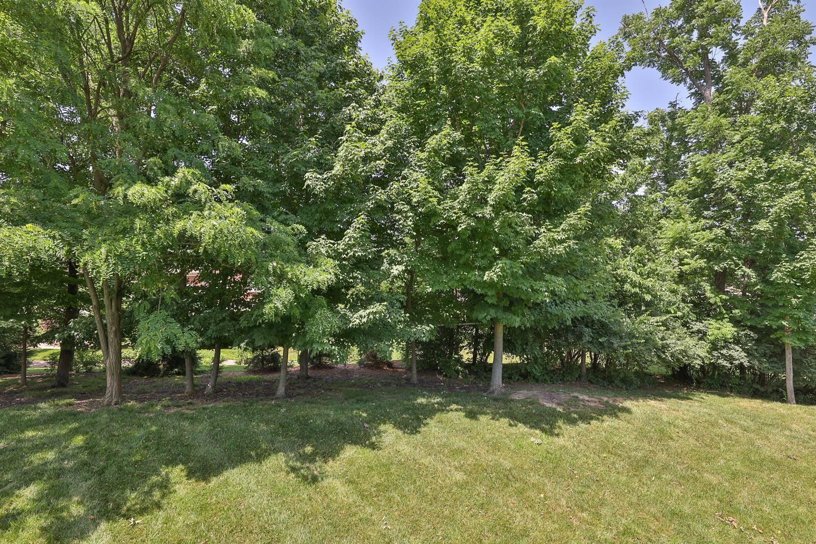 1172 Monarchos Ridge Union, KY 41091 - Photo 36 of 49