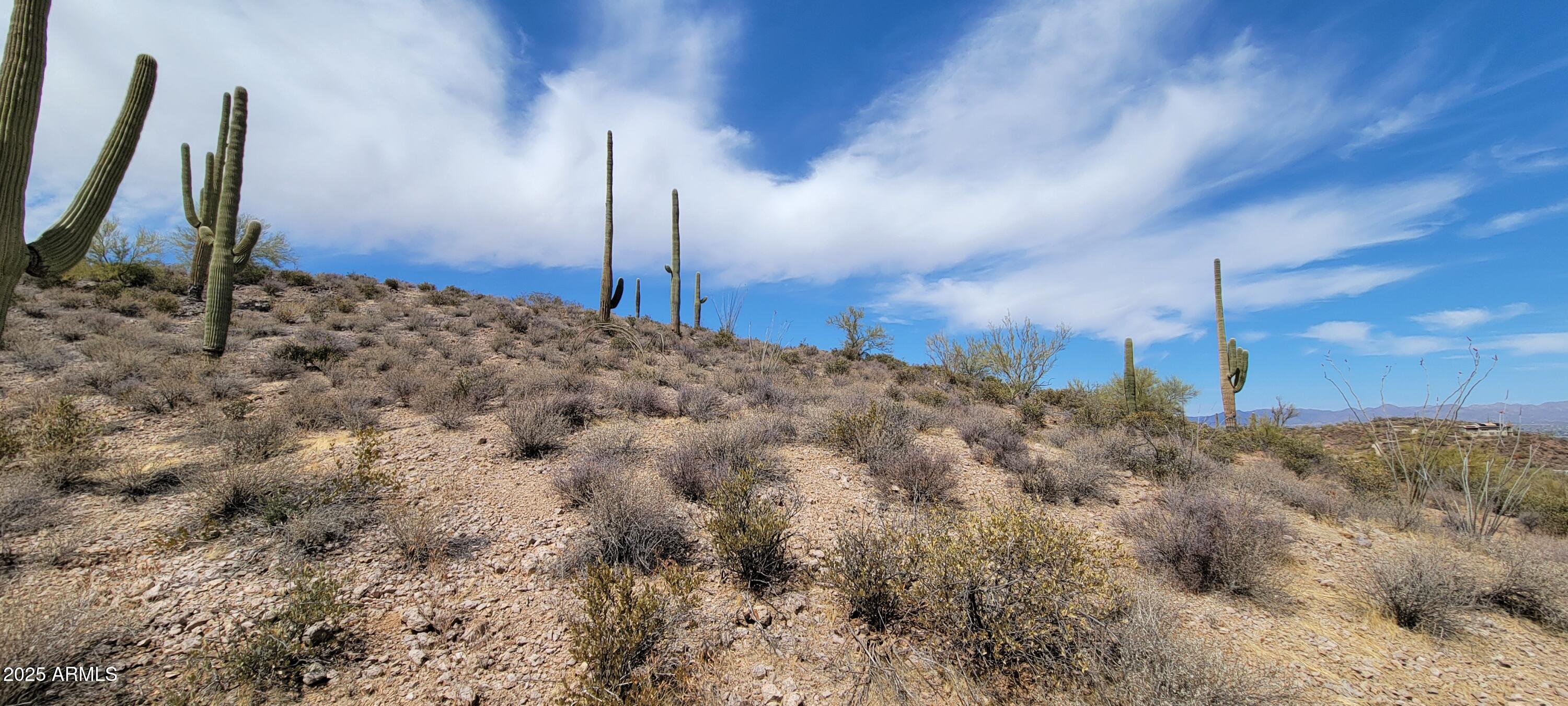 4790 North El Adobe Ranch Road Tucson, AZ 85745 - Photo 15 of 26 20250323_124545