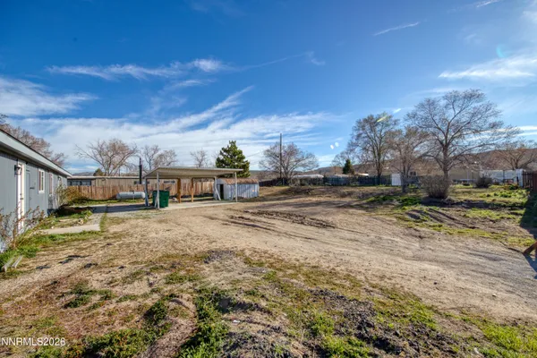 a view of dirt yard with a large tree