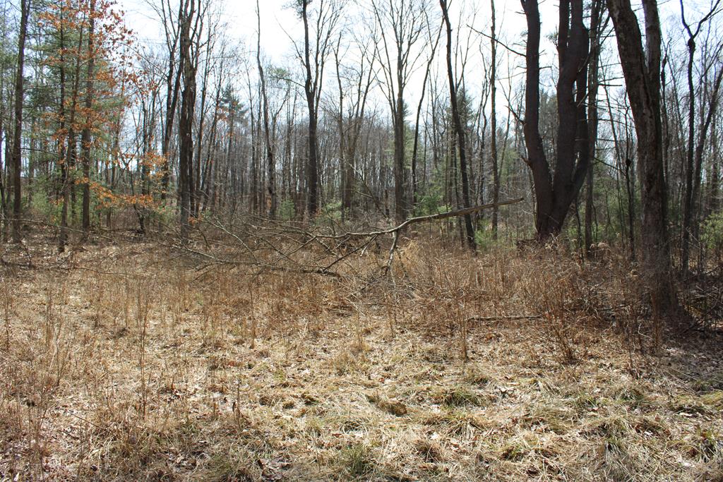 0 Rehobeth Church Road Strattanville, PA 16258 - Photo 1 of 13 Gallery Image 1