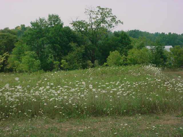 5654 Smaller Road Johnstown, OH 43031 - Photo 5 of 10 Gallery Image 5
