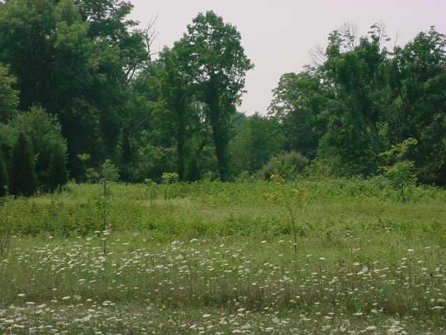 5654 Smaller Road Johnstown, OH 43031 - Photo 7 of 10 Gallery Image 7