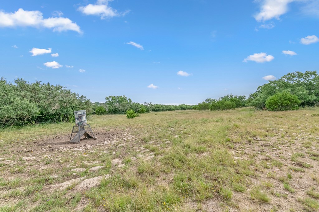 41 Rocksprings Tx 78880 Rocksprings, TX 78880 - Photo 14 of 62