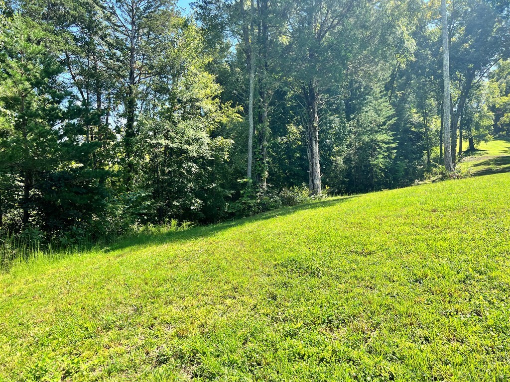 232425 Scott Street Sevierville, TN 37876 - Photo 9 of 34