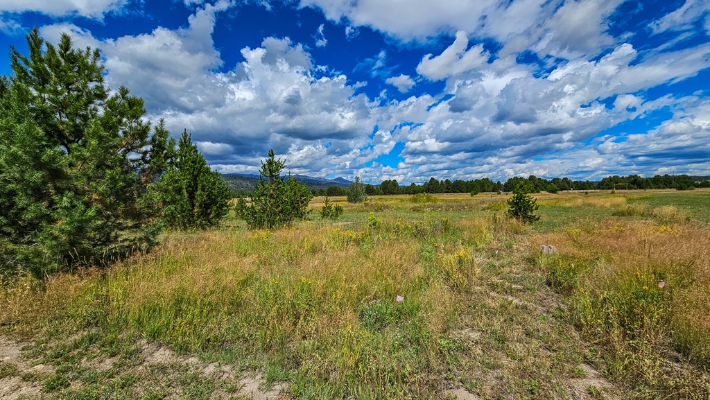 101 Sixty Lane Cascade, ID 83611 - Photo 28 of 52