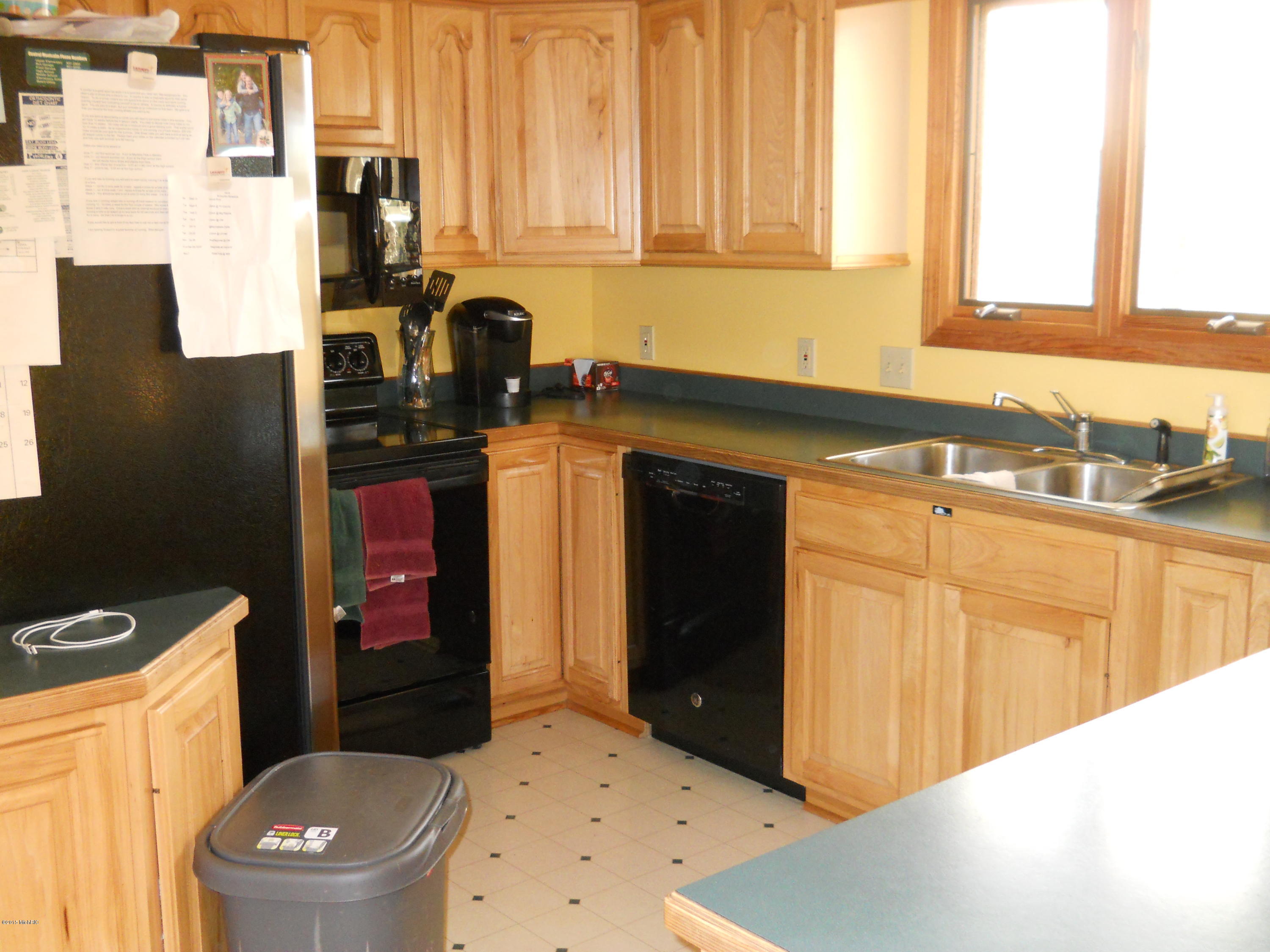 5195 Miles Road Stanton, MI 48888 - Photo 3 of 20 5195 N. Miles