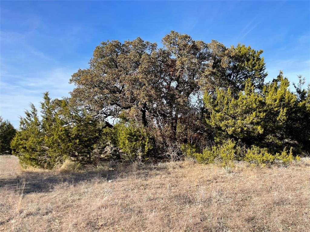 4986 County Road 607 Hamilton, TX 76531 - Photo 1 of 34 Mixed live oak and hard wood trees