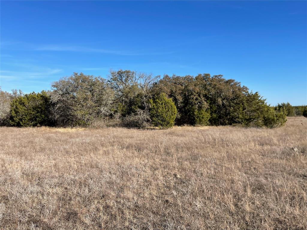 4986 County Road 607 Hamilton, TX 76531 - Photo 21 of 34 Mixed live oak and hard wood trees