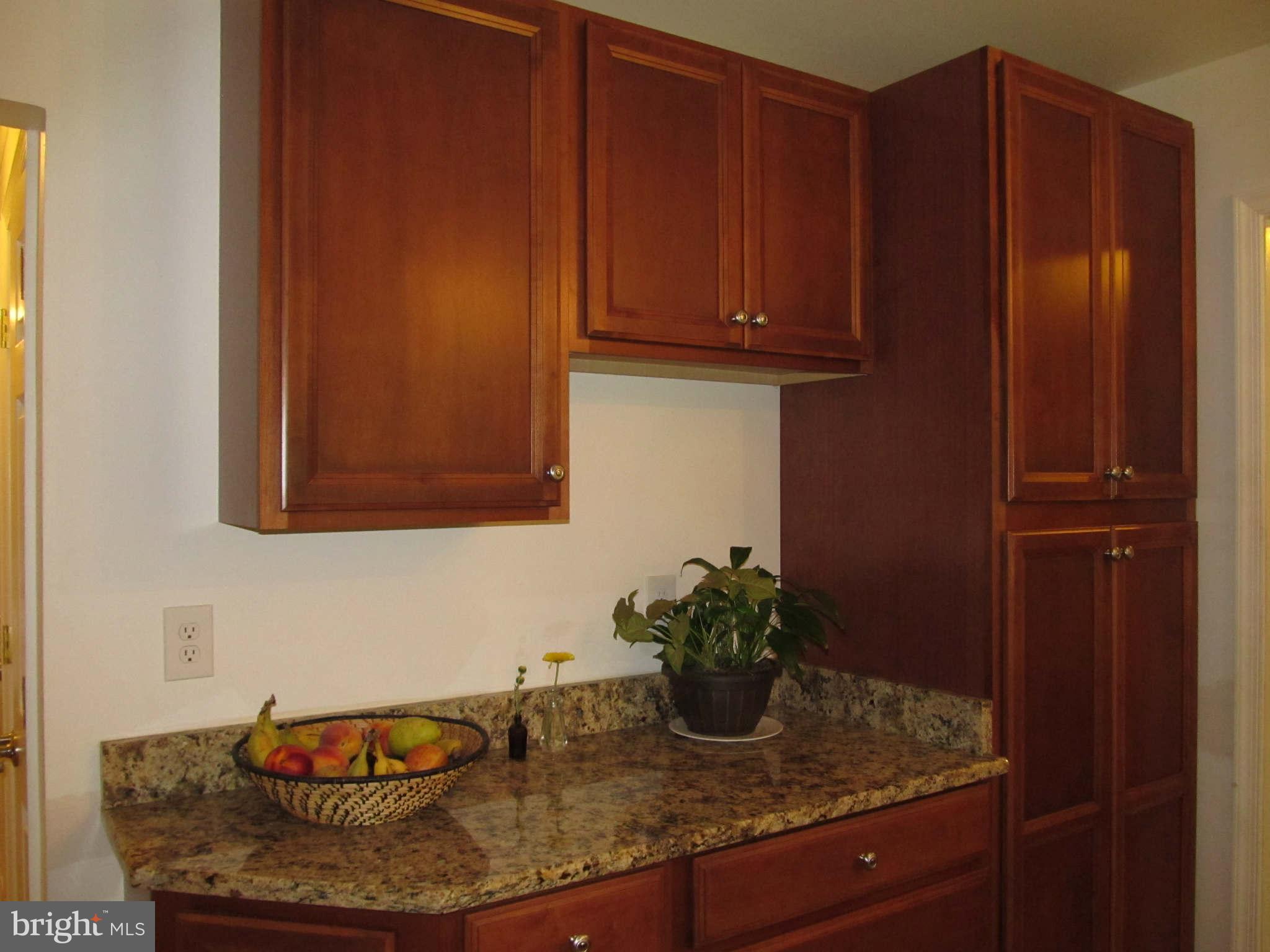 1007 Gadsden Avenue Silver Spring, MD 20905 - Photo 11 of 30 Kitchen