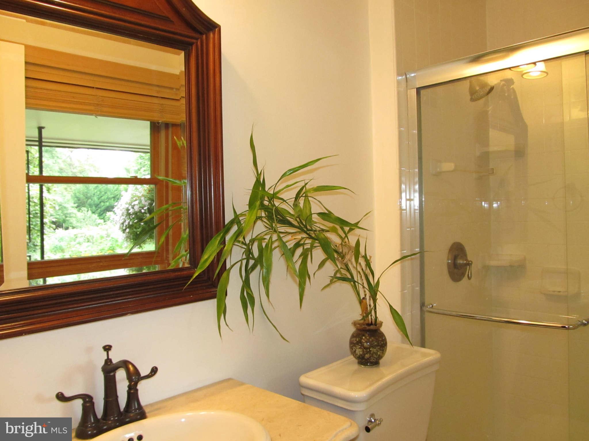 1007 Gadsden Avenue Silver Spring, MD 20905 - Photo 16 of 30 Bath (Master)