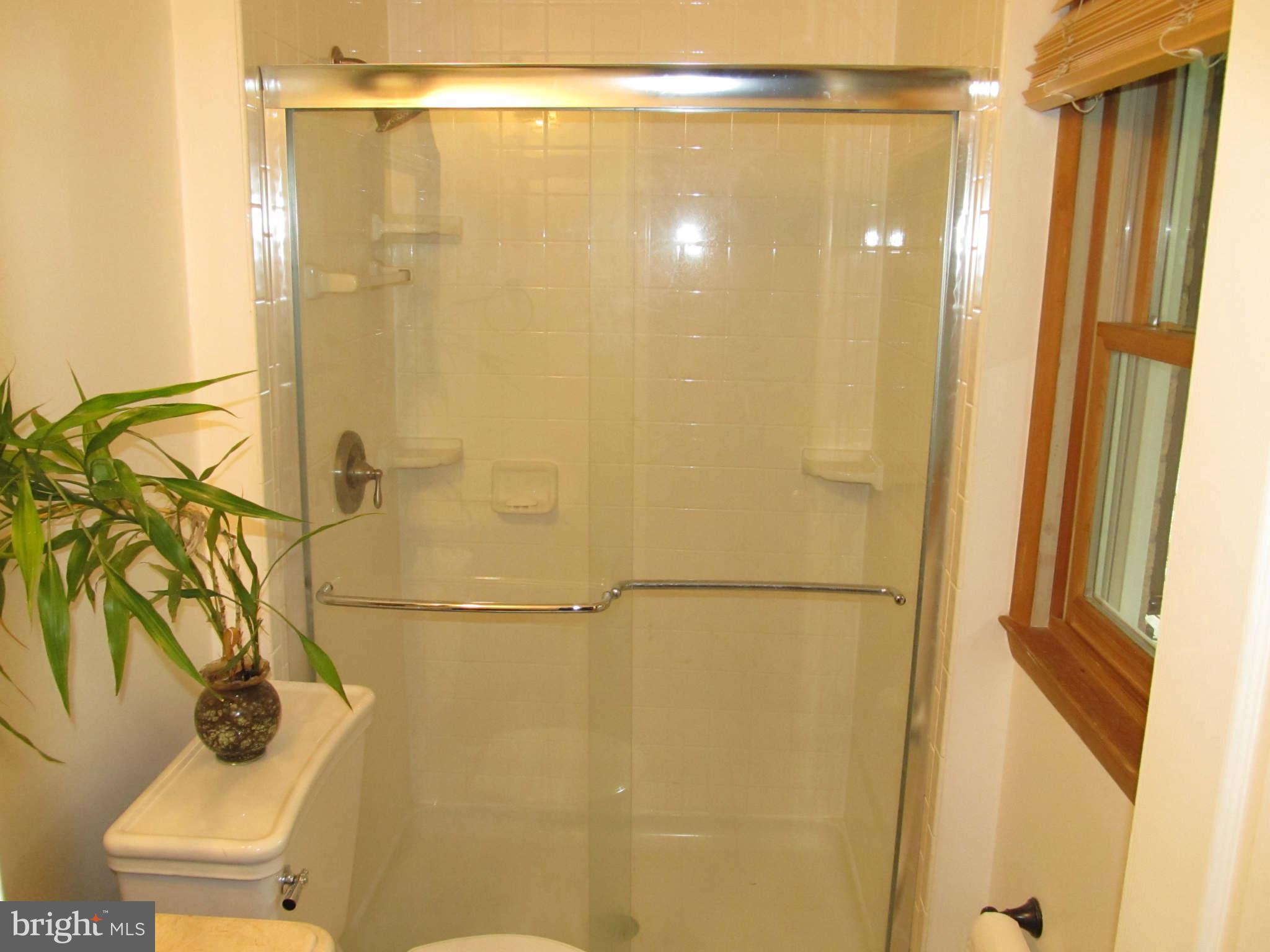 1007 Gadsden Avenue Silver Spring, MD 20905 - Photo 17 of 30 Bath (Master)