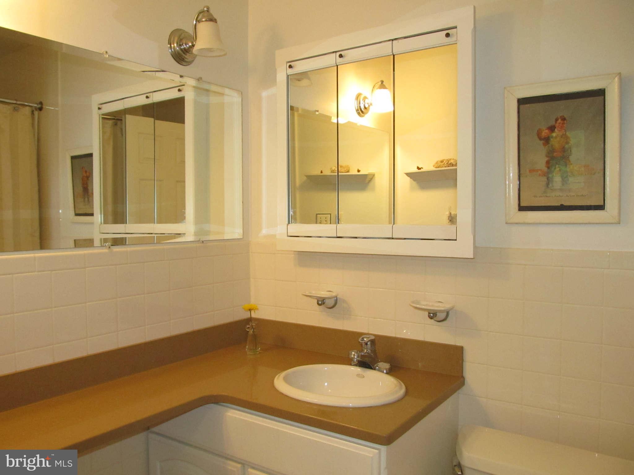 1007 Gadsden Avenue Silver Spring, MD 20905 - Photo 21 of 30 Bath