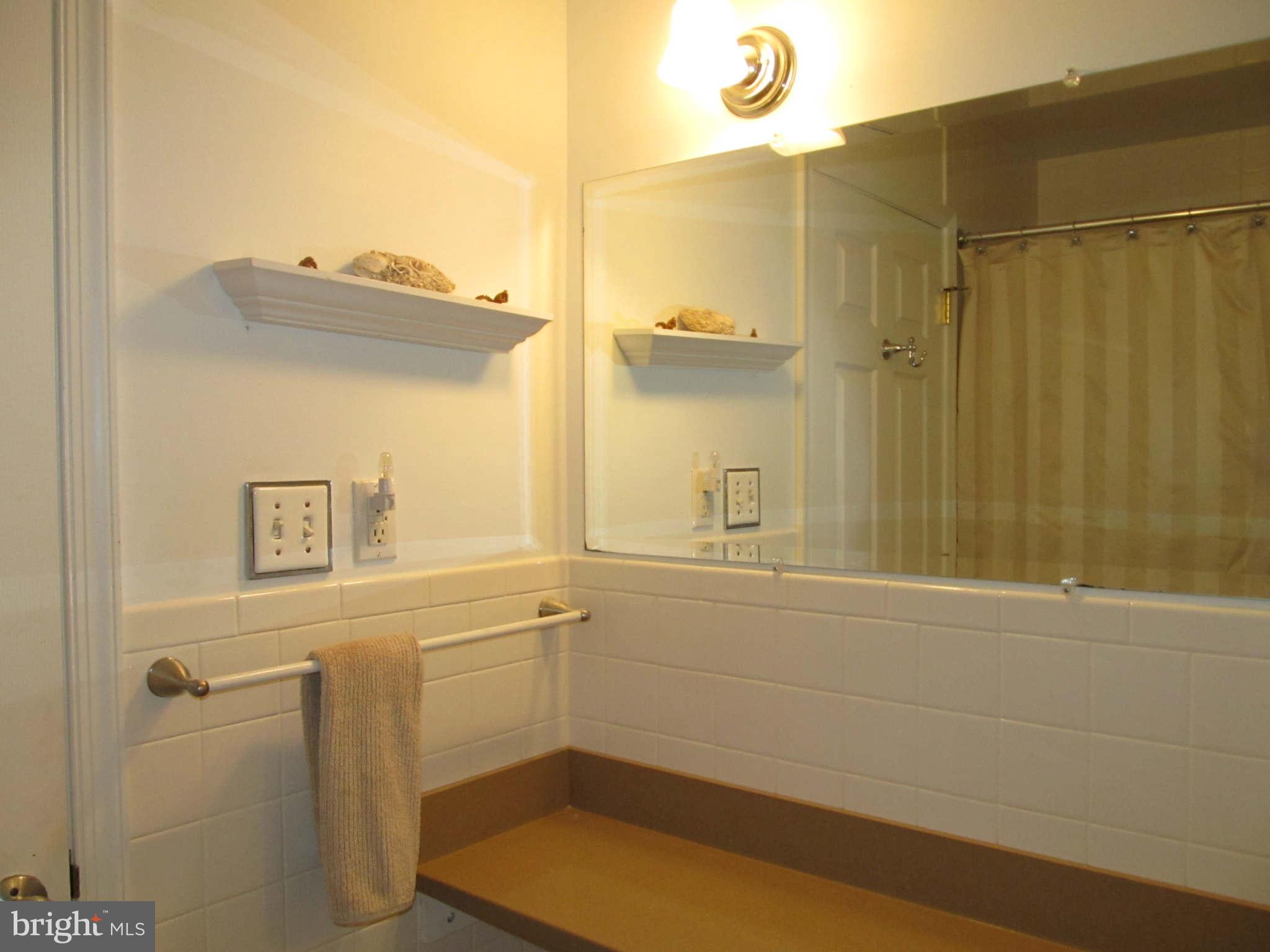 1007 Gadsden Avenue Silver Spring, MD 20905 - Photo 22 of 30 Bath