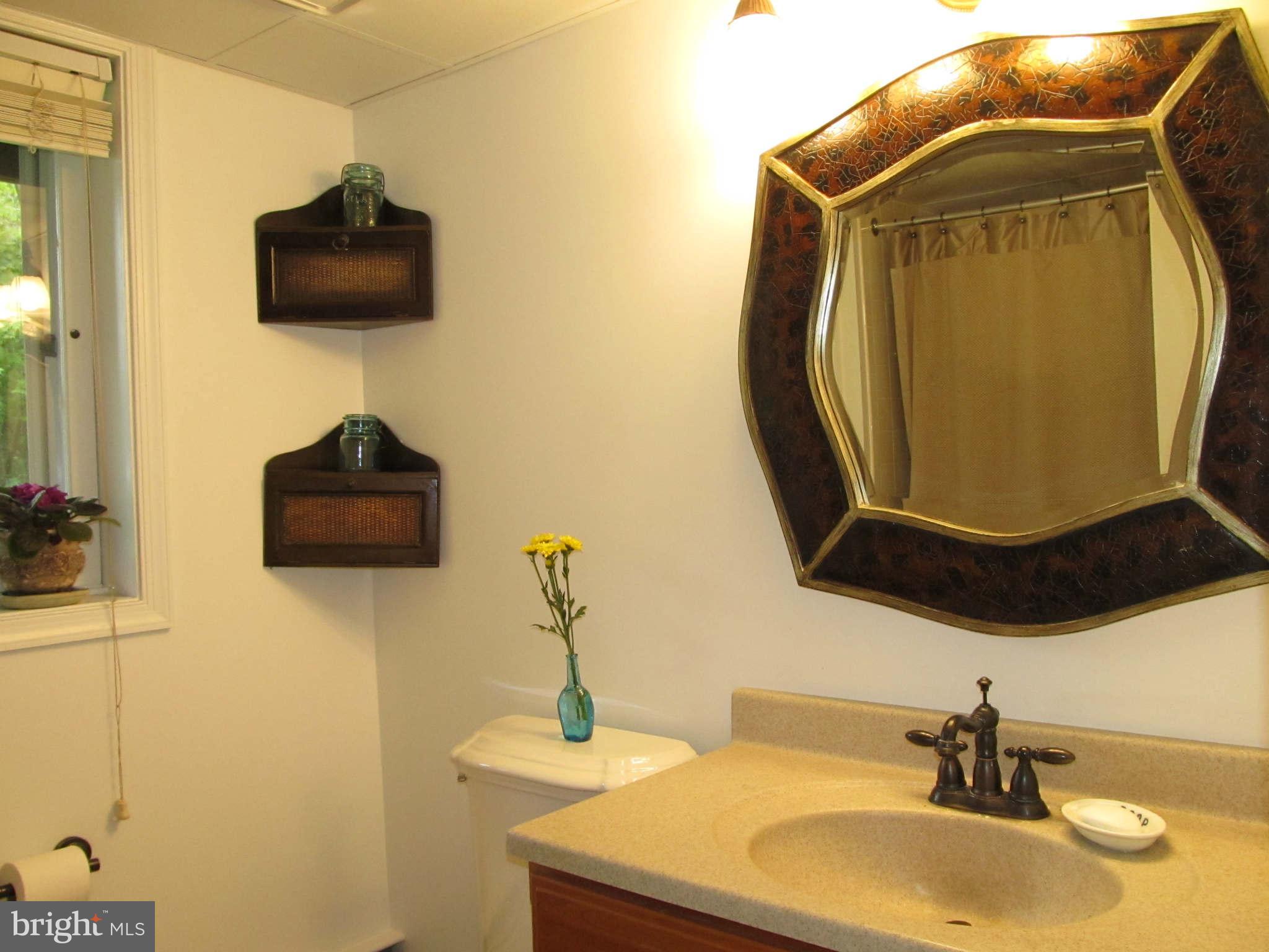 1007 Gadsden Avenue Silver Spring, MD 20905 - Photo 25 of 30 Bath