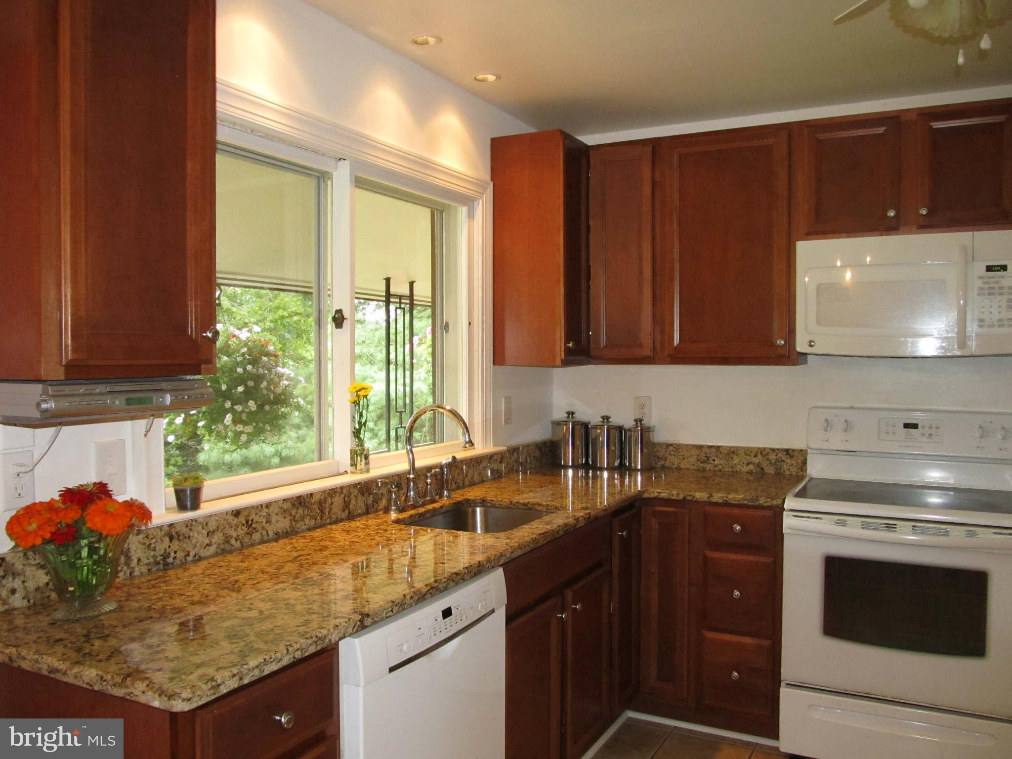 1007 Gadsden Avenue Silver Spring, MD 20905 - Photo 8 of 30 Kitchen