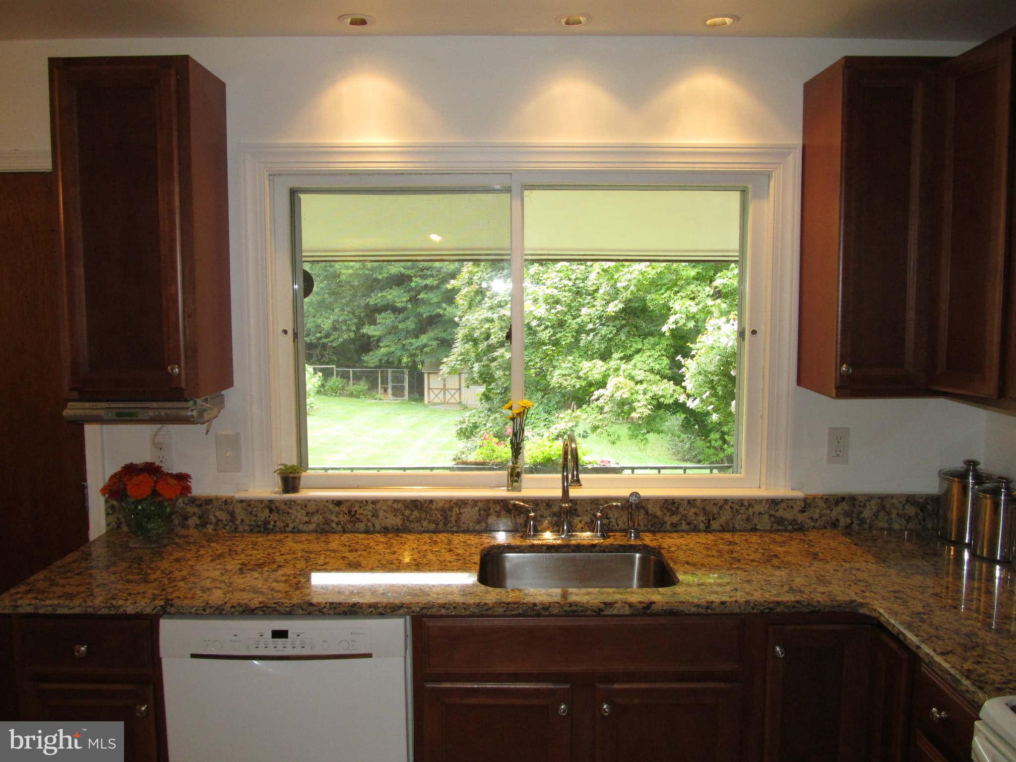 1007 Gadsden Avenue Silver Spring, MD 20905 - Photo 10 of 30 Kitchen