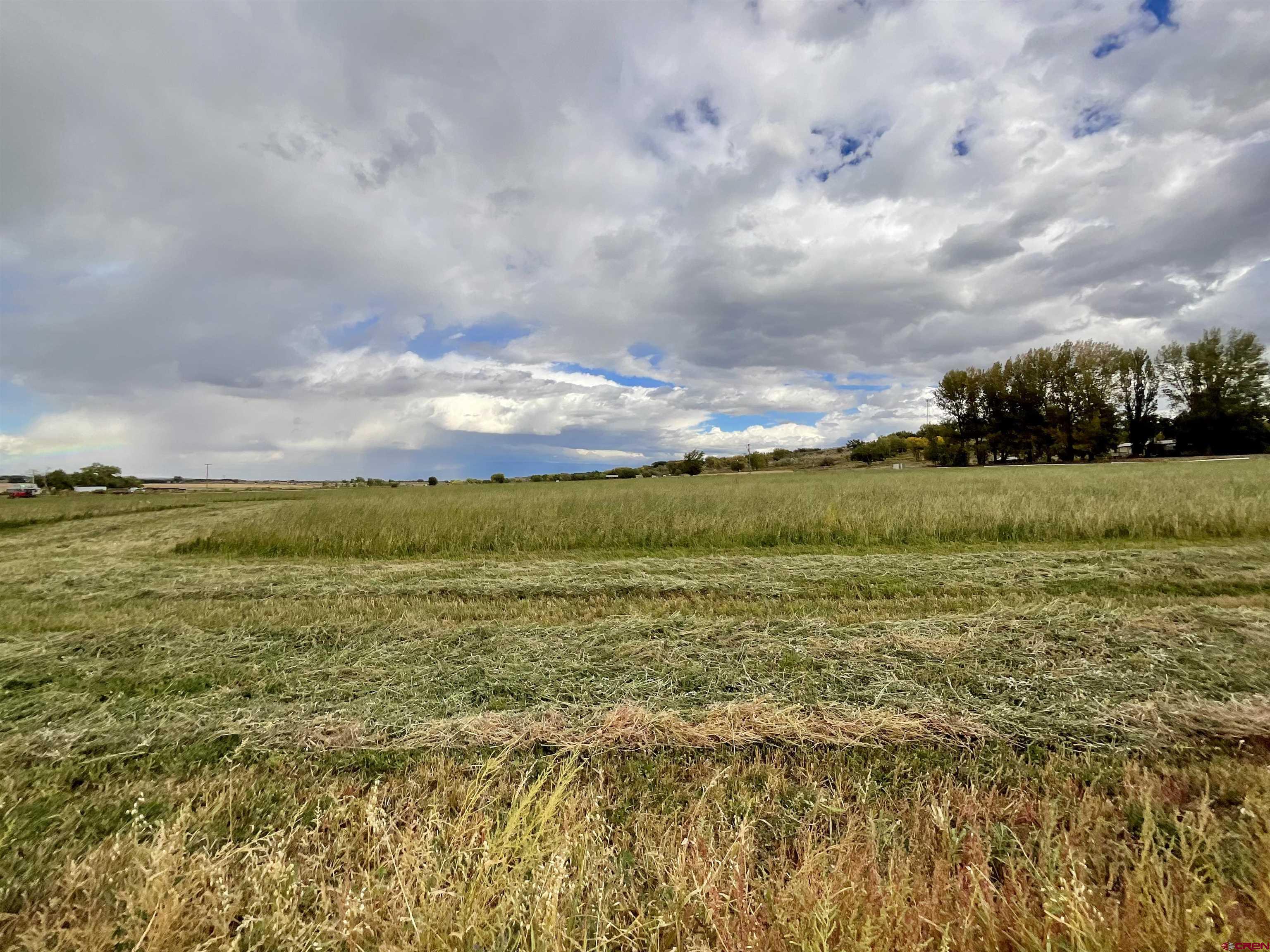 Tbd Inverness Court Montrose, CO 81403 - Photo 3 of 10 a view of an ocean
