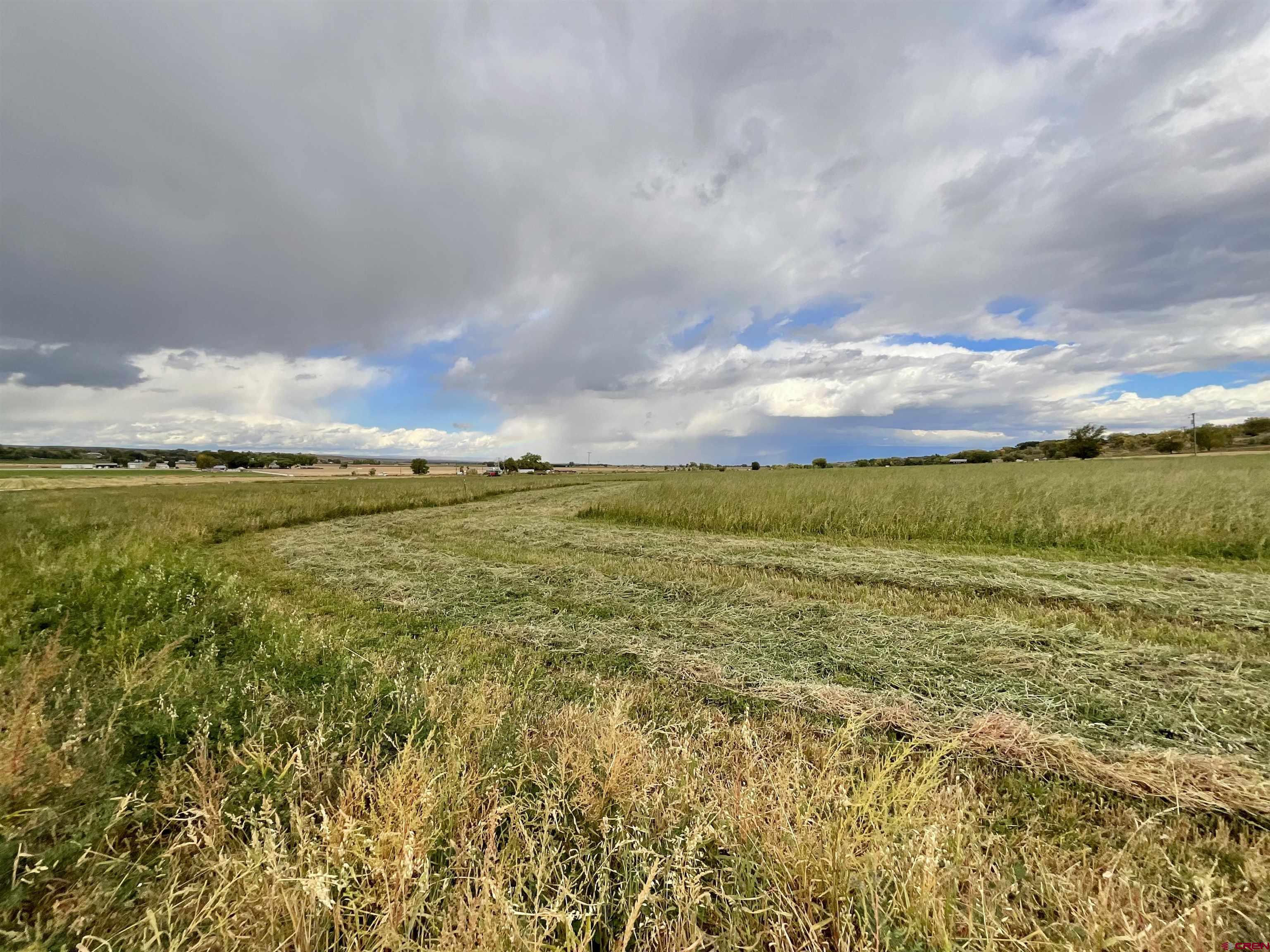 Tbd Inverness Court Montrose, CO 81403 - Photo 4 of 10 a view of an ocean