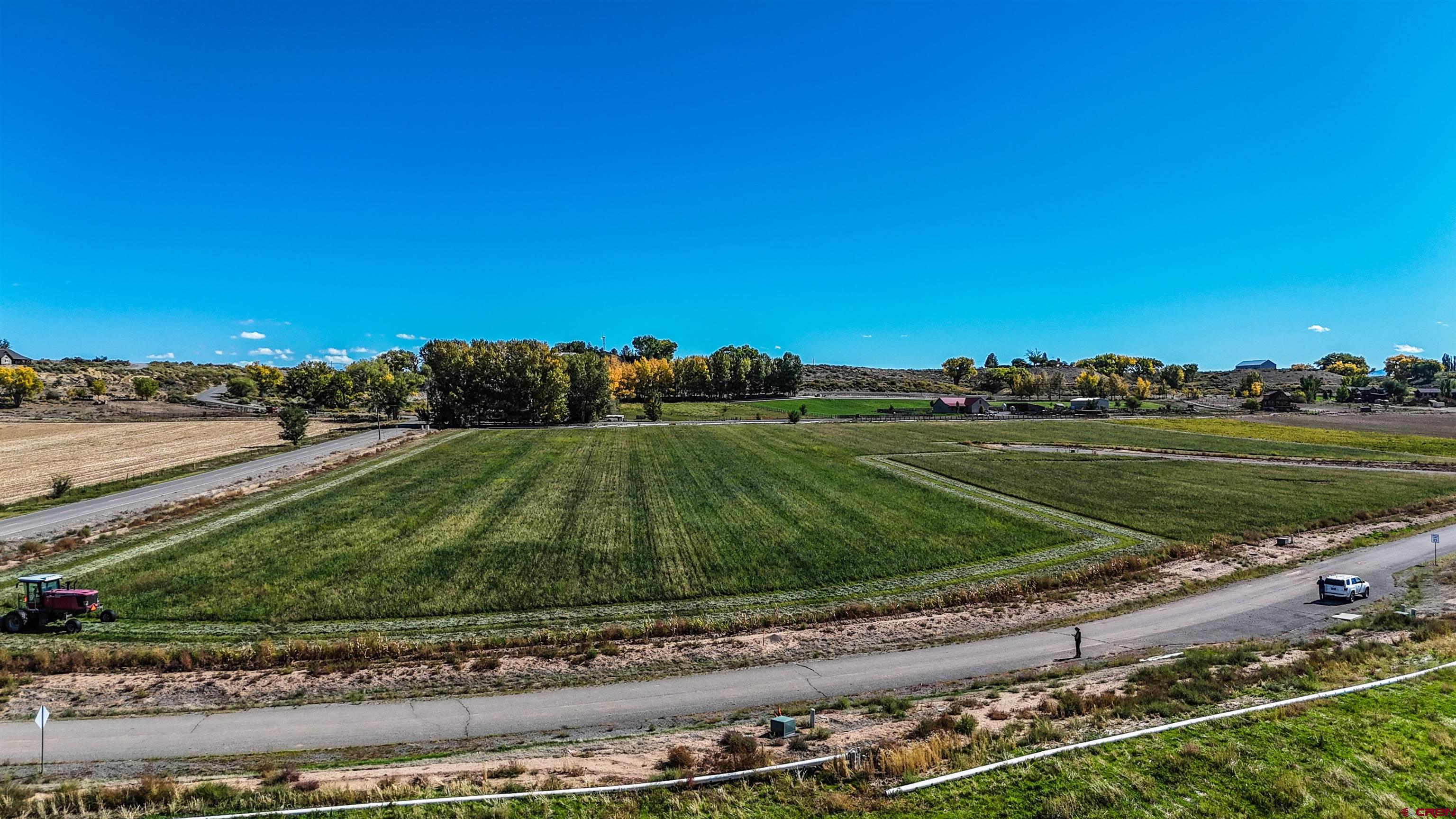 Tbd Inverness Court Montrose, CO 81403 - Photo 8 of 10 a view of a grassy area