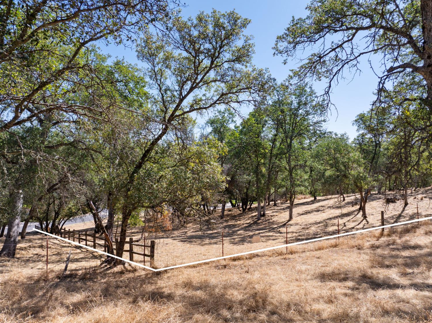 354 Mill Road Angels Camp, CA 95222 - Photo 9 of 26 a view of a wooden house with large trees