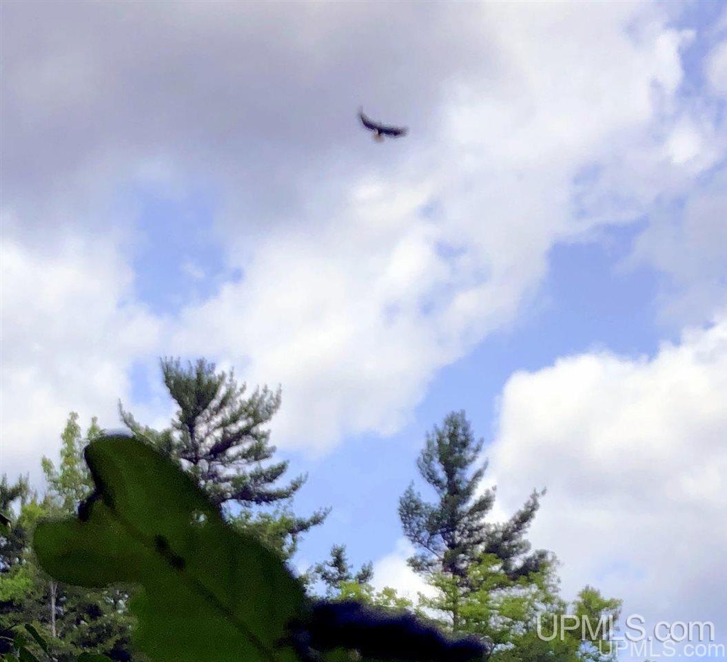 Tbd Deer Lake Road Ishpeming, MI 49849 - Photo 5 of 47