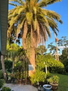 $3,900 | 422 Southwest Avocado Avenue, Sebastian, FL 32958