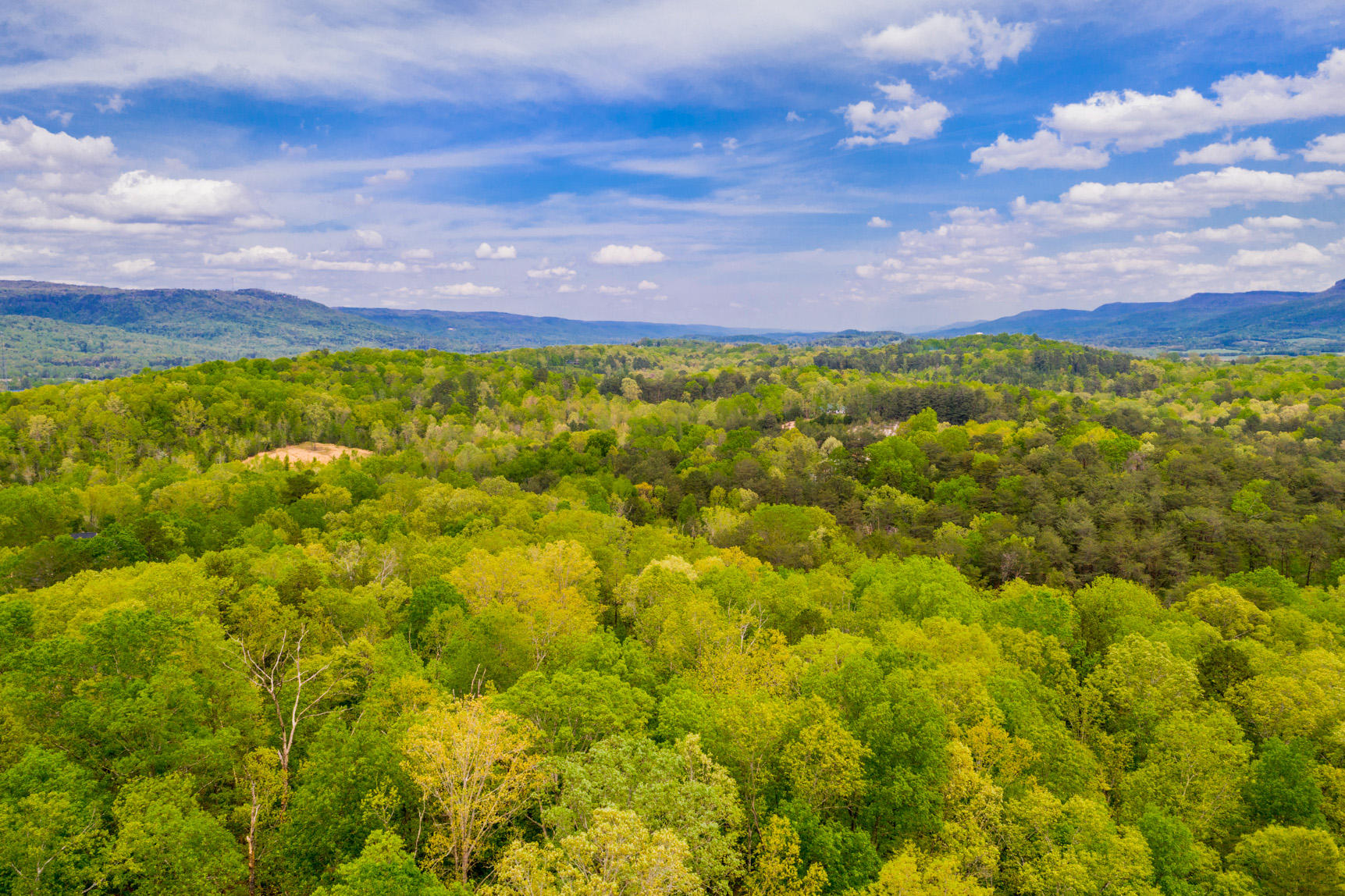 275 Rabbit Farm Road Dunlap, TN 37327 - Photo 39 of 51 DJI_0047