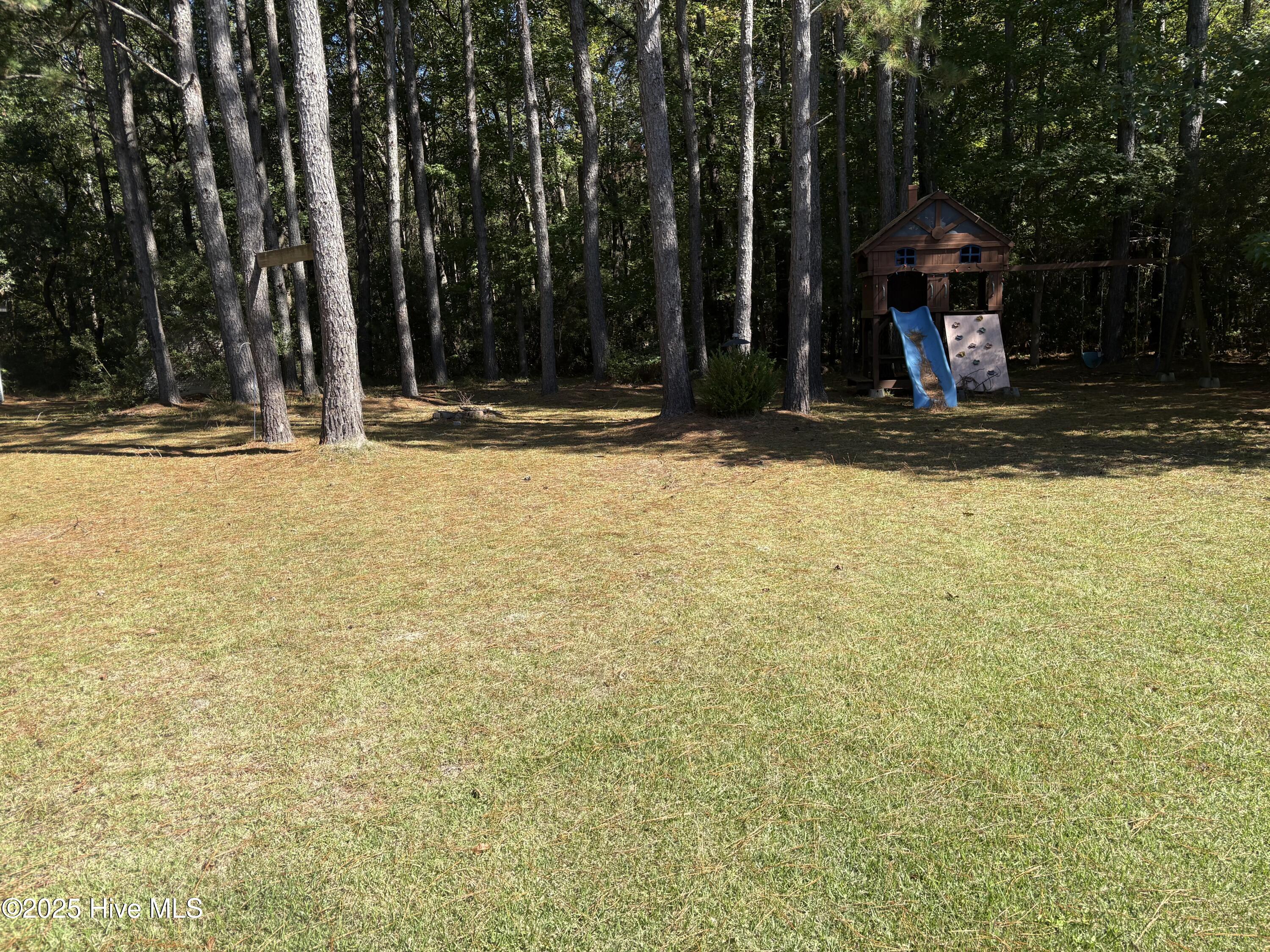 131 Marcil Lane Hampstead, NC 28443 - Photo 15 of 17 Private back yard